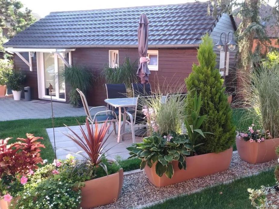 Gites Le P'Tit Paradis Du Ried Sundhouse Eksteriør billede